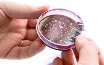 Бактерії в секреті простати